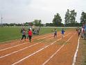 Olympiada 019